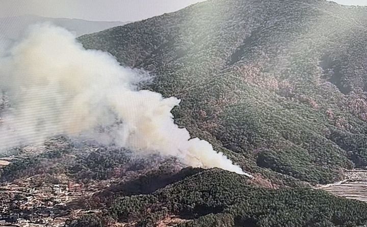 [울산=뉴시스] 박수지 기자 = 30일 오전 울산 울주군 범서읍 중리 한 야산에서 불이 나 연기가 올라오고 있다. (사진=울산소방본부 제공) 2025.11.30. photo@newsis.com *재판매 및 DB 금지