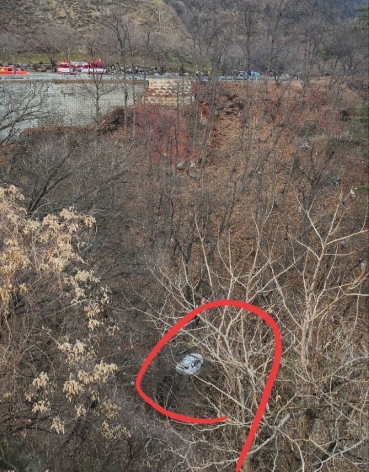 사진은.독자 제보. *재판매 및 DB 금지