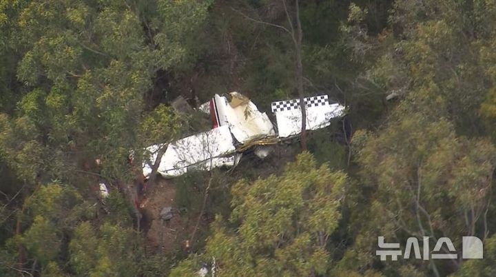[서울=뉴시스]호주 시드니 인근에서 경비행기 2대 공중 충돌…조종사 1명 사망 (사진 = 호주 ABC뉴스 캡처)