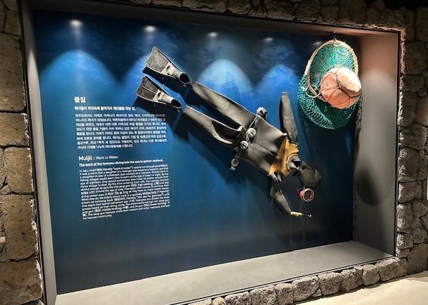 [서울=뉴사스] 식품의약품안전처 소속 식품의약품안전평가원 국립생약자원관 제주센터의 전시관 생약누리는 '생약자원, 해녀를 치료하다' 기획전시를 개최한다고 1일 밝혔다. (사진=식약처 제공) 2025.12.01. photo@newsis.com *재판매 및 DB 금지