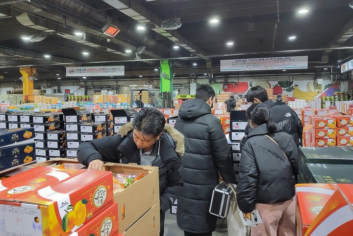 [서귀포=뉴시스] 지난달 29일 서귀포시가 서울 가락동 농수산물도매시장에서 비상품 감귤 유통 위반행위 단속을 벌이고 있다. (사진=서귀포시 제공) 2025.12.01. photo@newsis.com *재판매 및 DB 금지