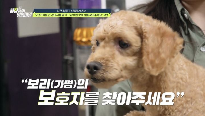 [서울=뉴시스] '탐정들의 영업비밀'. (사진 = 채널A 제공) 2025.12.01. photo@newsis.com *재판매 및 DB 금지