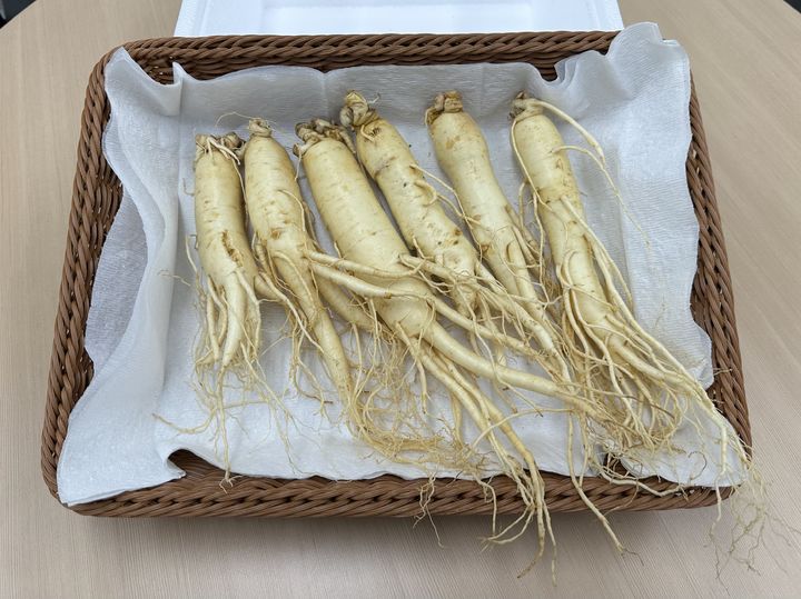 [세종=뉴시스] 농촌진흥청은 1일 겨울철 체온 유지와 혈액순환을 돕는 전통 의서 '동의보감' 속 온성약초(溫性藥草)를 소개했다. 사진은 인삼뿌리. (사진 = 농진청 제공) 2025.12.01. *재판매 및 DB 금지