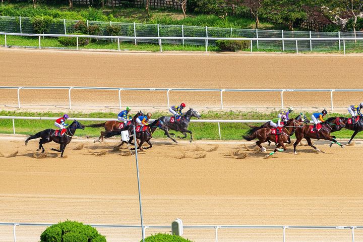 [부산=뉴시스] 렛츠런파크 부산경남 경마 장면. (사진=한국마사회 렛츠런파크 부산경남 제공) 2025.12.01. photo@newsis.com *재판매 및 DB 금지