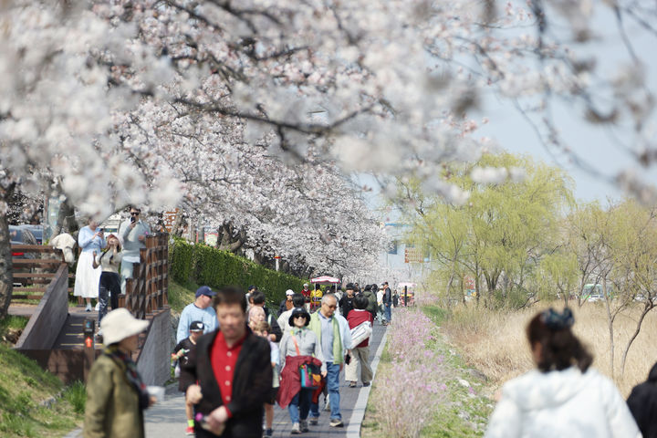11억 들여 방문객 1만8천명, 7천만원 들여 14만명…"지역축제, '돈 보다 질'"