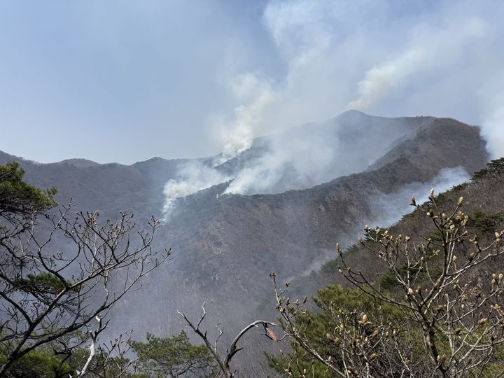 [양산=뉴시스] 양산국유림관리소가 이달 말까지 산림드론 집중감시단을 운영한다. (사진=양산시 제공) 2025.12.01. photo@newsis.com *재판매 및 DB 금지