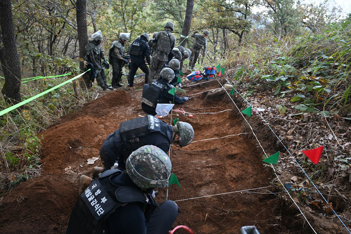 [서울=뉴시스] 국방부 유해발굴감식단이 전면발굴을 하는 모습. (사진=뉴시스 DB). photo@newsis.com *재판매 및 DB 금지
