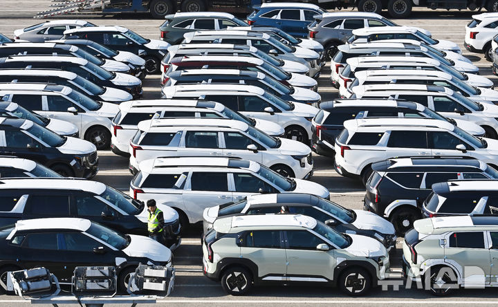 [평택=뉴시스] 김종택기자 = 경기 평택항 자동차전용부두에 수출용 차량이 세워져 있는 모습. 2025.12.01. jtk@newsis.com