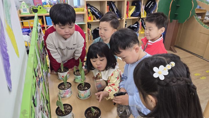[안동=뉴시스] 유치원 놀이중심 교육 '봄식물 관찰하기'. (사진=경북도 제공) 2025.12.02. photo@newsis.com *재판매 및 DB 금지
