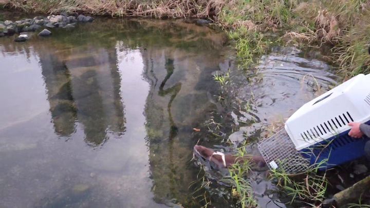 [울산=뉴시스] *재판매 및 DB 금지