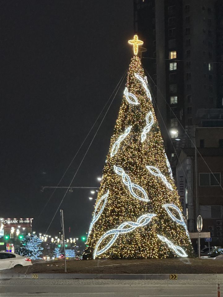 [횡성=뉴시스] 횡성오거리 회전교차로에 있는 대형 크리스마스트리 조명. (사진=횡성군 제공)2025.12.02.photo@newsis.com *재판매 및 DB 금지