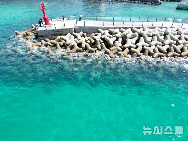 [제주=뉴시스] 제주지방해양경찰청이 2일 공개한 제주시 애월읍 고내리항 어촌뉴딜300 사업 부실공사 정황. 지반 침하로 포구가 절단돼 있다. 해경은 원청과 하도급사, 감리사 등을 30억원대 보조금 편취 혐의 및 배임수재 등 혐의로 검찰에 송치했다. (사진=제주지방해양경찰청 제공) 2025.12.02. photo@newsis.com 