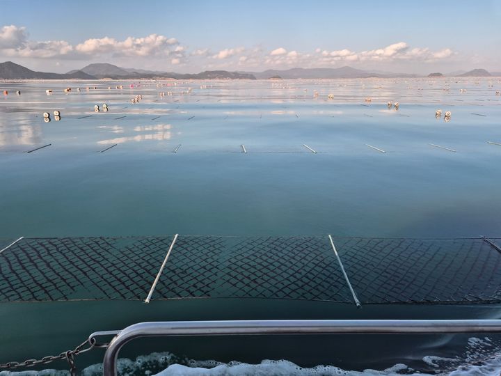 [고흥=뉴시스] 고흥 김 양식장. (사진=고흥군 제공) 2025.12.02. photo@newsis.com *재판매 및 DB 금지