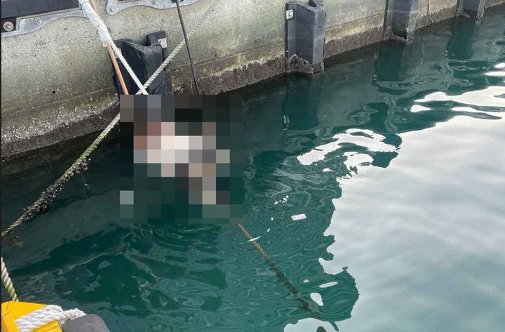 [부산=뉴시스] 2일 부산 영도구 하리항에서 바다로 추락한 50대 여성을 구조하는 모습. (사진=부산해경 제공) 2025.12.02. photo@newsis.com  *재판매 및 DB 금지