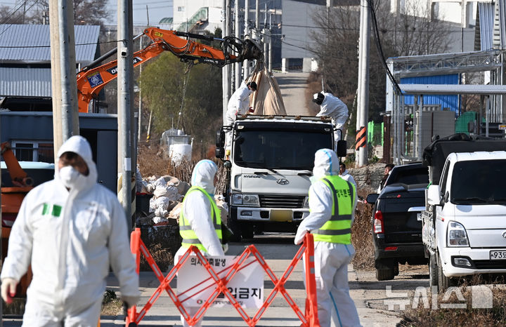 [평택=뉴시스] 김종택기자 = 사진은 H5N1형 고병원성 조류인플루엔자(AI)가 발생한 경기 평택시 한 산란계 농장에서 지난 2일 관계자들이 살처분 작업을 하고 있는 모습. 2025.12.02. jtk@newsis.com