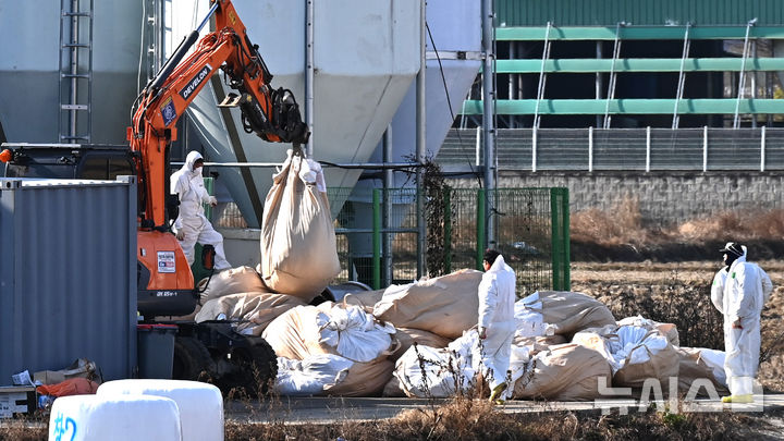 [평택=뉴시스] 김종택기자 = H5형 조류인플루엔자 항원이 검출된 경기 평택시 한 산란계 농장에서 2일 관계자들이 살처분 작업을 하고 있다. 2025.12.02. jtk@newsis.com