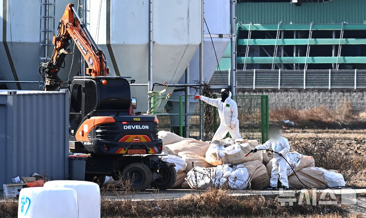[평택=뉴시스] 김종택기자 = H5형 조류인플루엔자 항원이 검출된 경기 평택시 한 산란계 농장에서 2일 관계자들이 살처분 작업을 하고 있다. 고병원성 조류인플루엔자(AI) 중앙사고수습본부는 경기 평택시 소재 산란계 농장에서 H5형 AI 항원이 확인됐다고 지난 1일 밝혔다. 2025.12.02. jtk@newsis.com