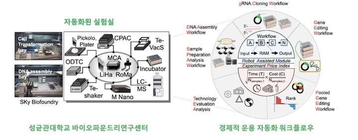 [서울=뉴시스] 연구 관련 이미지. (사진=성균관대 제공) 2025.12.02. photo@newsis.com *재판매 및 DB 금지