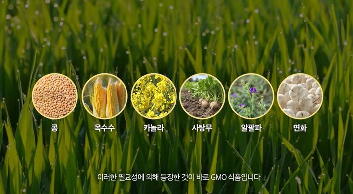 [서울=뉴시스] 3일 식품의약품안전처에 따르면 전날 열린 국회 본회의에서 보건복지위원회 대안 형태로 상정된 식품위생법 일부개정법률안이 가결됐다. (사진=식약처 유튜브 채널 캡처) 2025.12.03. photo@newsis.com *재판매 및 DB 금지