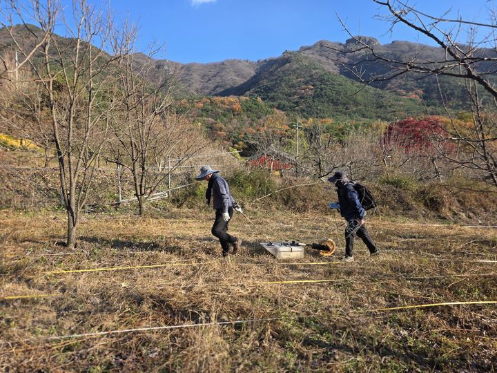 [서울=뉴시스] 김천 갈항사지 GPR탐사 시범조사 현장 (사진=국가유산청 제공) 2025.12.03. photo@newsis.com *재판매 및 DB 금지