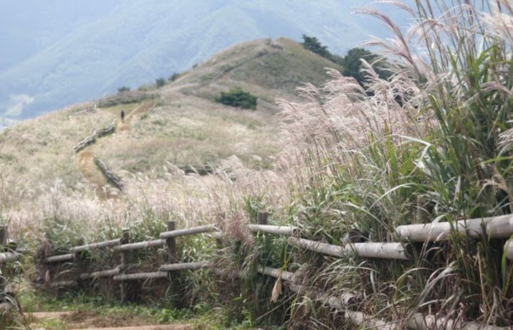 [춘천=뉴시스] 3일 강원관광재단에 따르면 도와 강원관광재단이 빅데이터 기반의 강원관광 동향분석 결과, 지난 10월 관광객은 전년 동월 대비 22.2%, 전월 대비 42.2% 모두 증가한 약 1592만명이다고 밝혔다. 사진은 정선 민둥산. syi23@newsis.com *재판매 및 DB 금지