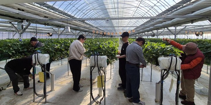 [횡성=뉴시스] 고립은둔 청장년 '손에 손잡고' 프로그램 모습. (사진=횡성군 제공)2025.12.03.photo@newsis.com *재판매 및 DB 금지