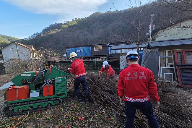 [양양=뉴시스] 양양국유림관리소가 양양군과 협력해 산불예방을 위해 영농부산물 파쇄 작업실시하고 있다.(사진=양양국유림관리소 제공)photo@newsis.com *재판매 및 DB 금지