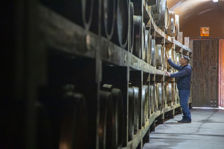 [수원=뉴시스] 파주 산머루농원. (사진=경기관광공사 제공) 2025.12.03. photo@newsis.com *재판매 및 DB 금지