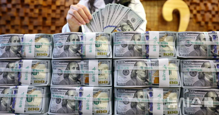 [서울=뉴시스] 박주성 기자 = 서울 중구 하나은행 위변조대응센터에서 관계자가  보유중인 달러를 정리하고 있는 모습.2025.12.03. park7691@newsis.com