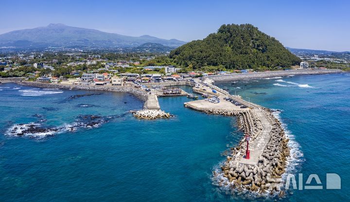 [제주=뉴시스] 서귀포시 보목항. (사진=뉴시스 DB). photo@newsis.com 