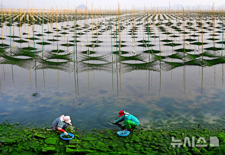 [서울=뉴시스] 2025년 漁live 어촌 사진 공모전 대상 '청정바다'.