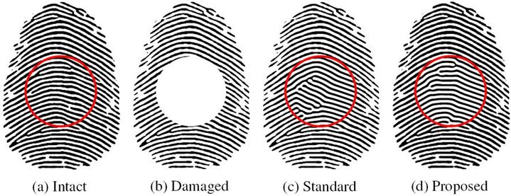 [서울=뉴시스] 사진은 연구 관련 이미지. 선행연구 기법이 가지고 있는 불균형 결과와 본 연구에서 제안한 기법이 불균형 문제를 해결한 결과. (사진=고려대 제공) 2025.12.04. photo@newsis.com *재판매 및 DB 금지