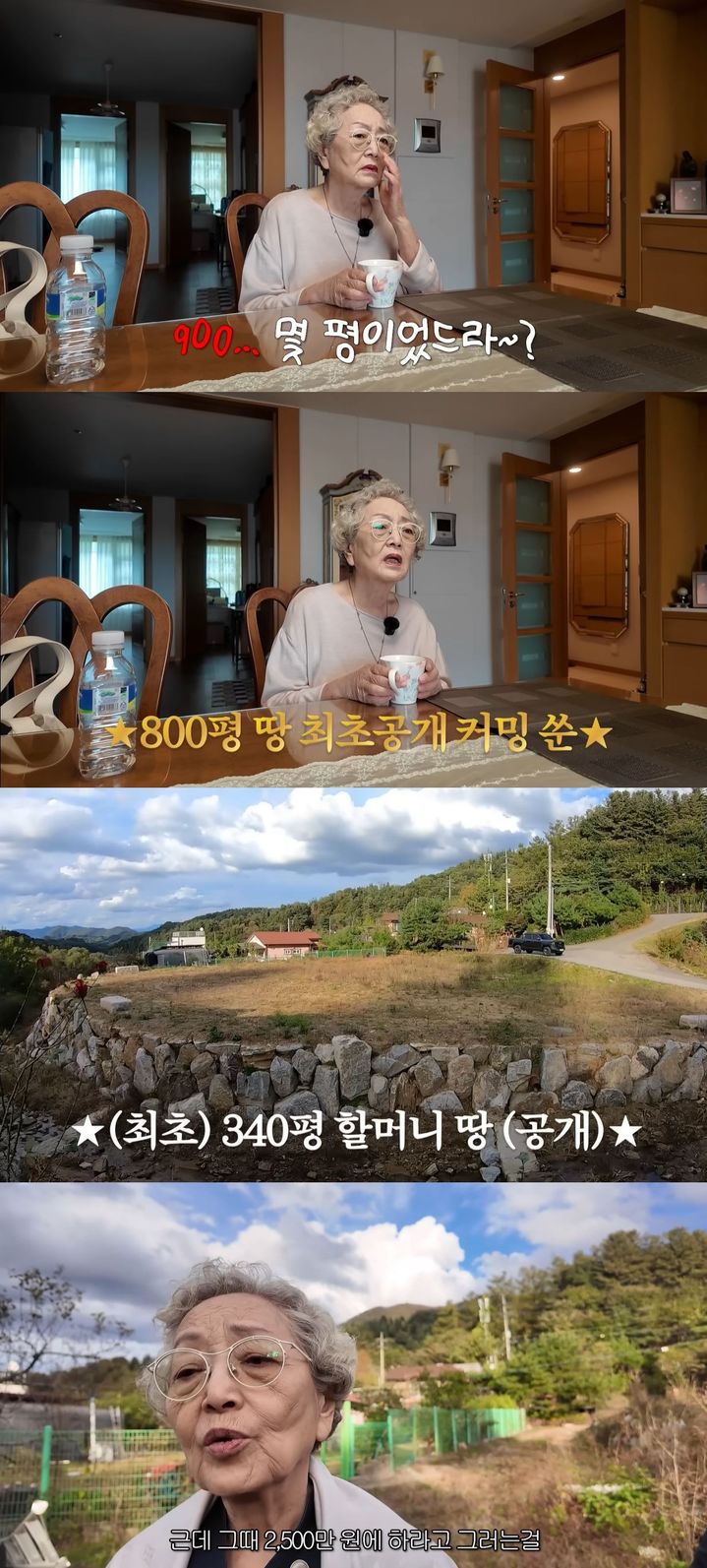 [서울=뉴시스] 배우 김영옥이 지난 3일 개인 유튜브 채널에서 가평 소유 부지를 찾았다. (사진=유튜브 채널 '김영옥' 캡처) 2025.12.04. photo@newsis.com *재판매 및 DB 금지