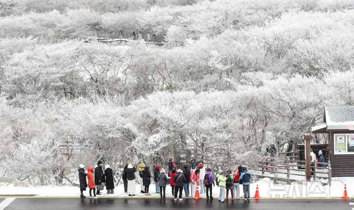 [제주=뉴시스] 우장호 기자 = 기습 추위가 절정에 달한 4일 오전 제주 한라산 1100고지를 찾은 관광객들이 활짝 피어난 상고대를 감상하며 겨울 정취를 만끽하고 있다. 2025.12.04. woo1223@newsis.com