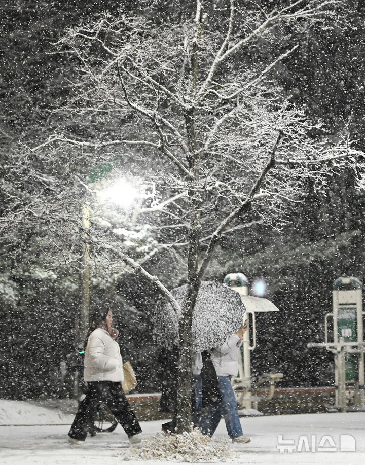 [수원=뉴시스] 김종택 기자 = 수도권 지역에 올해 첫 대설주의보가 발효된 4일 경기 수원시 영통구 망포동 거리에 눈이 내리고 있다. 2025.12.04. jtk@newsis.com