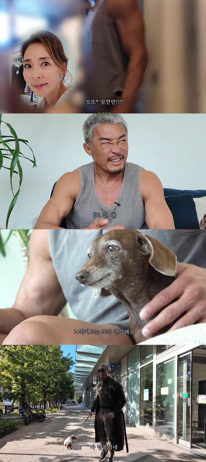 [서울=뉴시스] 방송인 추성훈이 지난 4일 유튜브 채널 '추성훈'에 올린 영상에서 14살 반려견 쿄로를 돌봤다. (사진=유튜브 채널 '추성훈' 캡처) 2025.12.05. photo@newsis.com *재판매 및 DB 금지