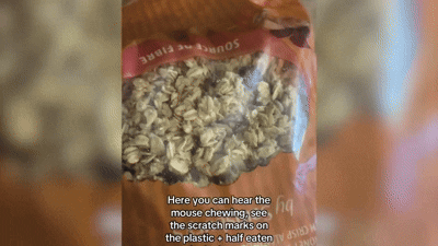 [뉴시스] 영국 대형 매장에서 판매하는 시리얼 봉지 안에서 쥐로 추정되는 생물체의 움직임이 발견됐다. (영상= SNS) 2025.12.05. *재판매 및 DB 금지