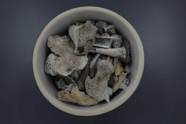 [서울=뉴시스] 국군 제3사단 소속 고(故) 정용환 일병 유해. (사진=국방부 제공) 2025.12.05. photo@newsis.com *재판매 및 DB 금지