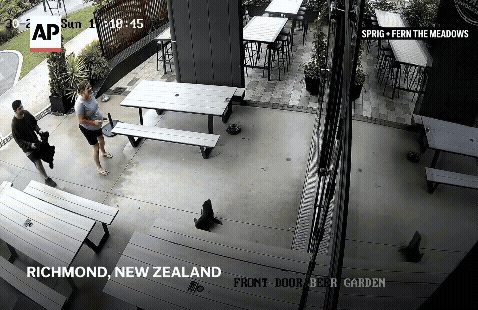 [서울=뉴시스]지난달 30일 아기 물개가 뉴질랜드의 한 술집 안을 기어다니고 있다.(사진출처: AP) 2025.12.05. *재판매 및 DB 금지