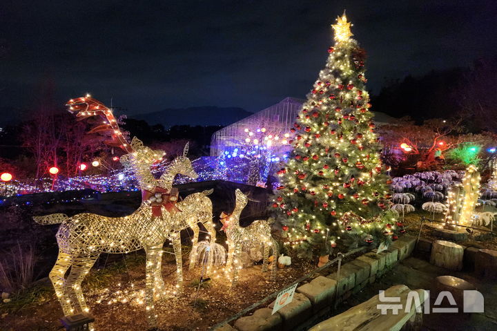 [창원=뉴시스]창원 진해보타닉뮤지엄.(사진=경남도 제공) 2025.12.06. *재판매 및 DB 금지