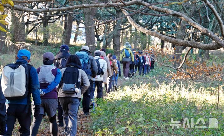 [제주=뉴시스] 오영재 기자 = 6일 오전 제주대학교에서 뉴시스 제주본부 주최·제주트레일워킹협회 주관으로 열린 '2025년 제주 트레일워킹 아카데미(Jeju Trail Walking Academy)' 제2회 실전체험에서 교육생들이 숲속을 걷고 있다. 2025.12.06. oyj4343@newsis.com