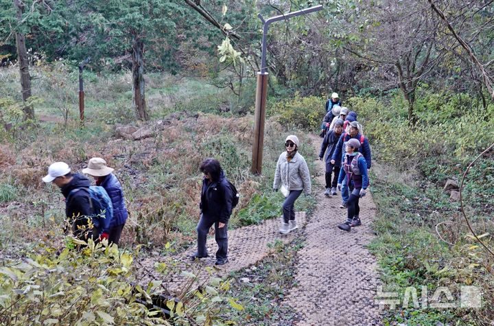 [제주=뉴시스] 오영재 기자 = 6일 오전 제주 삼의악오름에서 뉴시스 제주본부 주최·제주트레일워킹협회 주관으로 열린 '2025년 제주 트레일워킹 아카데미(Jeju Trail Walking Academy)' 제2회 실전체험 교육생들이 걷고 있다. 2025.12.06. oyj4343@newsis.com 