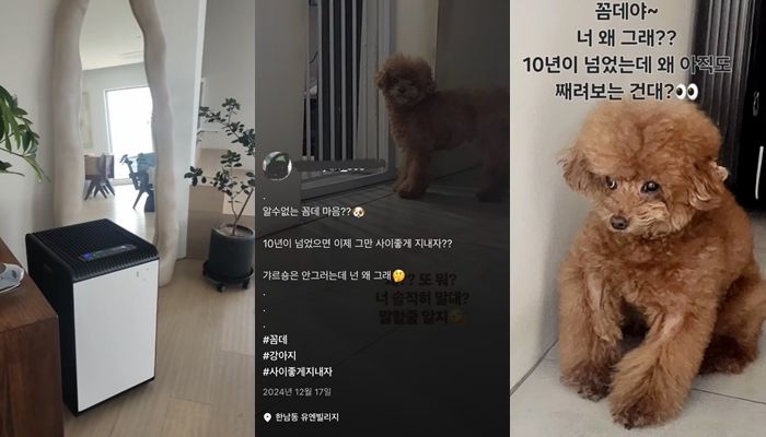 박나래 주사이모 이모씨가 샤이니 키 집에서 찍은 것으로 추정되는 사진과 영상.