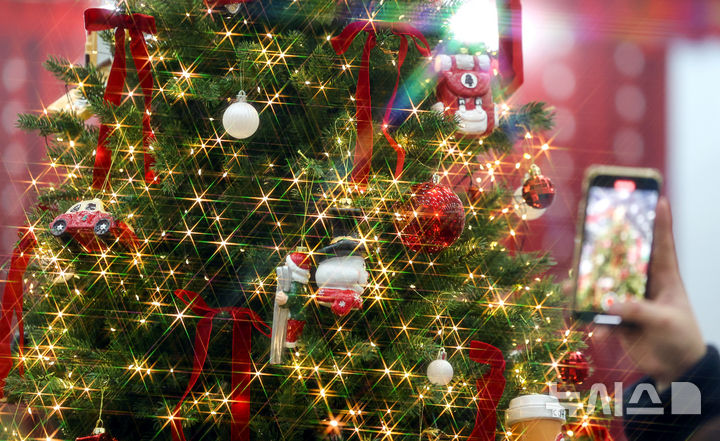 [대구=뉴시스] 이무열 기자 = 7일 대구 북구 엑스코에서 열린 ‘2025 대구 크리스마스 페어’를 찾은 한 시민이 크리스마스트리와 장식 소품을 살펴보고 있다. 2025.12.07. lmy@newsis.com