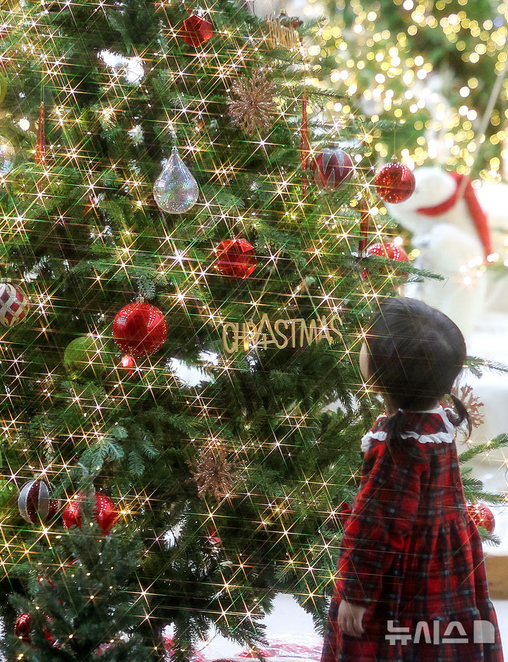 [대구=뉴시스] 이무열 기자 = 7일 대구 북구 엑스코에서 열린 ‘2025 대구 크리스마스 페어’를 찾은 한 어린이가 크리스마스트리를 살펴보고 있다. 2025.12.07. lmy@newsis.com