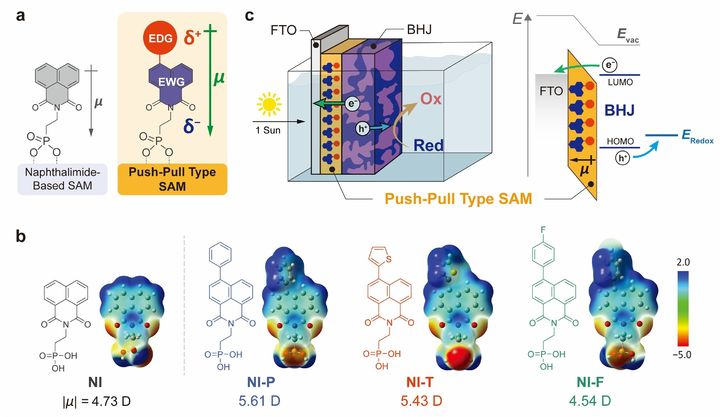 [울산=뉴시스] 구미현 기자 = 박막을 구성하는 단분자와 광전극의 구조를 나타낸 연구 그림 (사진=UNIST 제공) 2025.12.08. photo@newsis.com *재판매 및 DB 금지