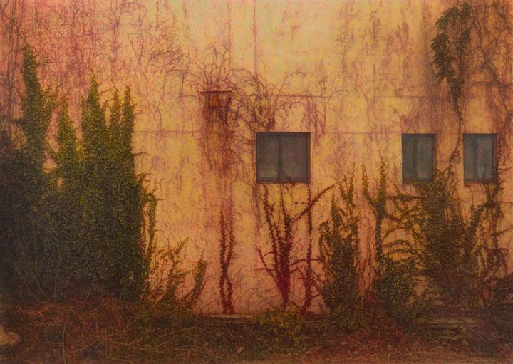 이만나, 벽 앞의 풍경, oil on canvas, 162x227.3cm, 2025 *재판매 및 DB 금지