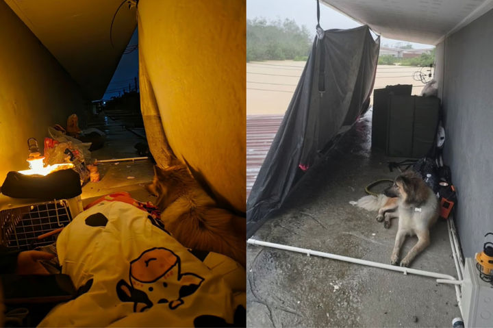 [뉴시스] 태국의 여성이 홍수로 인해 침수된 지붕 위에 반려동물과 함께 고립됐을 당시 모습. (사진 = SCMP 갈무리) 2025.12.08. *재판매 및 DB 금지