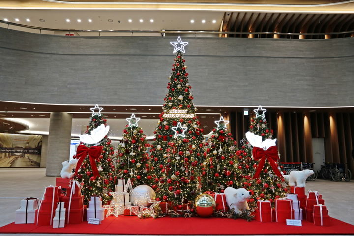 순천향대 천안병원, '환자쾌유' 기원 크리스마스 트리 설치 - 뉴스 썸네일 이미지