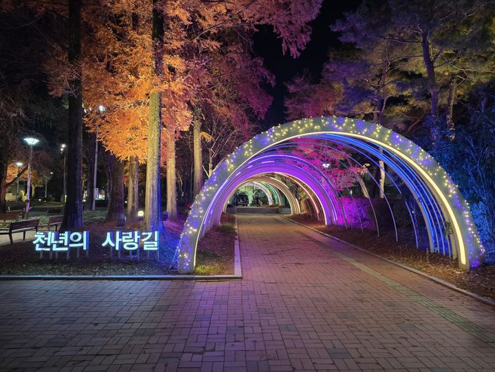 [청주소식]시, 중앙공원에 '야간경관·포토존' 조성했다 등